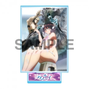 animate Bonus: Acrylic Stand