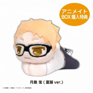 animate Bonus: Hug Chara Collection Box Bonus: Kei Tsukishima (Summer Clothes ver.)